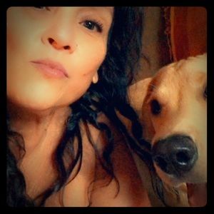 Charlie and Finn sweater for pets